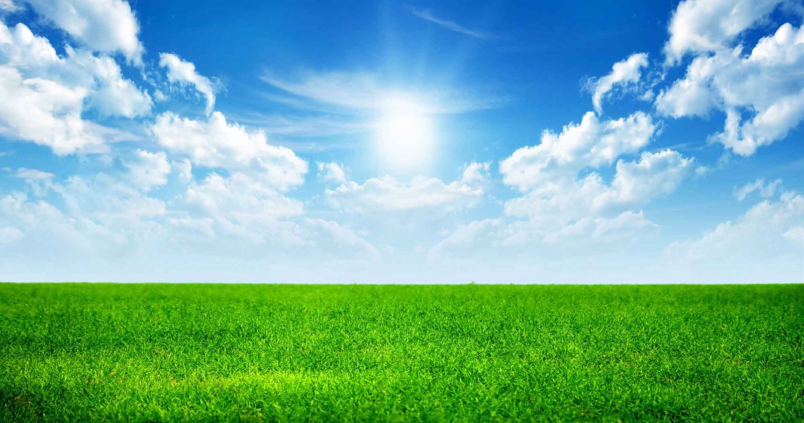sky-grass