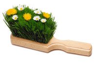Blooming Swab