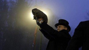 ground hog